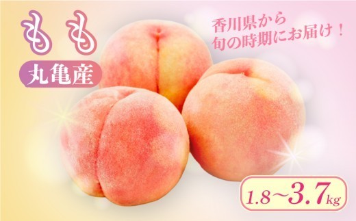 
                  【先行予約】 桃 選べる容量 約1.8kg 約2kg 約3.6kg 約3.7kg 贈答 フルーツ 果物 果実 モモ プレゼント ギフト スイーツ デザート ケーキ ジュース ゼリー アイス シャーベット ジャム ふるさと納税桃 ふるさと納税モモ お取り寄せ 送料無料 ふるさと納税 ふるさと納税フルーツ 香川県 丸亀市
                
