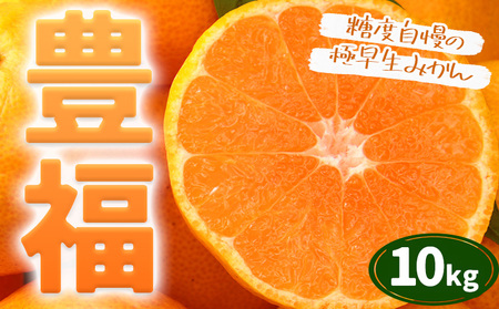 果物 フルーツ みかん 極早生みかん 豊福 約10kg 都呂々みかん生産者グループ《10月中旬-11月下旬頃出荷》 ミカン 蜜柑 柑橘 生産者直送 産地直送 天草 苓北 送料無料 熊本県