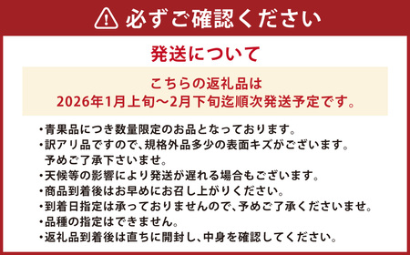 訳あり 晩生完熟みかん10kg ( ご自宅用 ) ／  果物 くだもの フルーツ 柑橘 蜜柑 ミカン 晩生みかん 完熟 青果品 訳アリ ワケアリ わけあり 理由あり 国産 大将農園 長崎県 長崎市 【