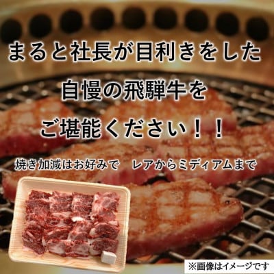 飛騨牛カルビ焼肉用500g【配送不可地域：離島】【1745860】