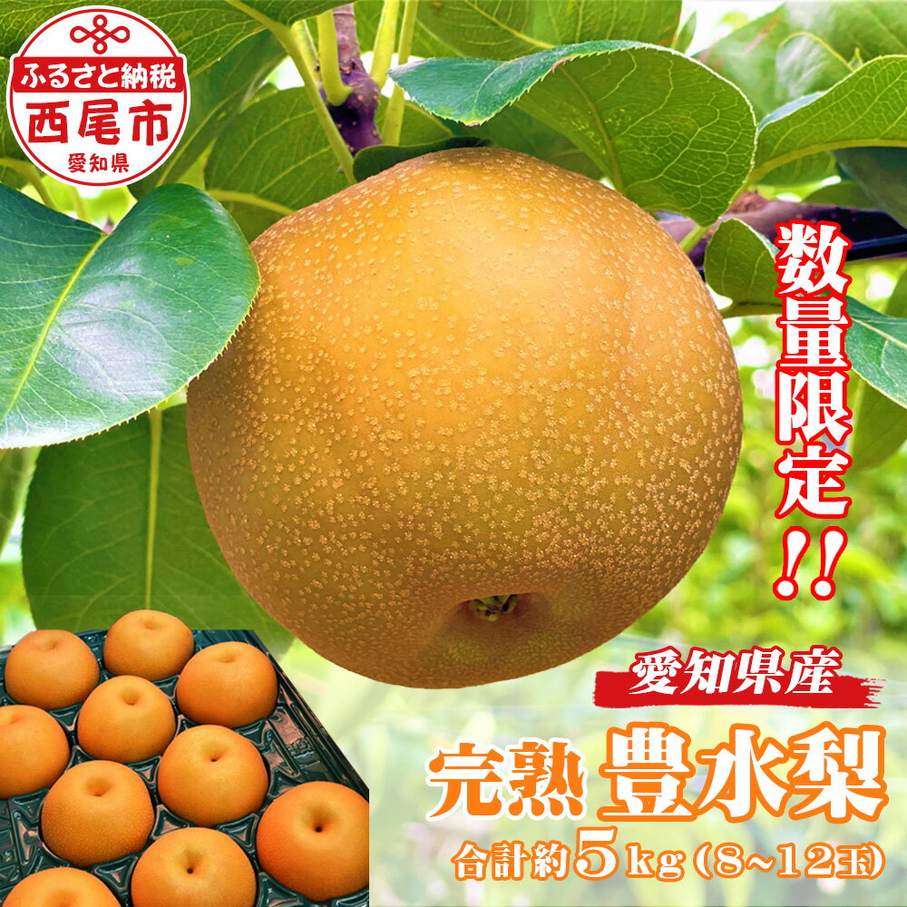 【ふるさと納税】『数量限定』＜きらり園＞完熟 豊水梨 （8玉〜12玉合計5kg）【発送期間:9/1〜9/20まで】 【クール便】 K086-17-1 / なし ナシ 梨 豊水 果物 フルーツ 季節限定 期間限定 愛知県 西尾市産 国産 完熟梨 もぎたて 採れたて 冷蔵