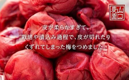 完熟南高梅使用　くずれ梅　しそ熊野梅干　1.5kg（500g×3）まろやか仕立て（塩分10％）【訳あり】