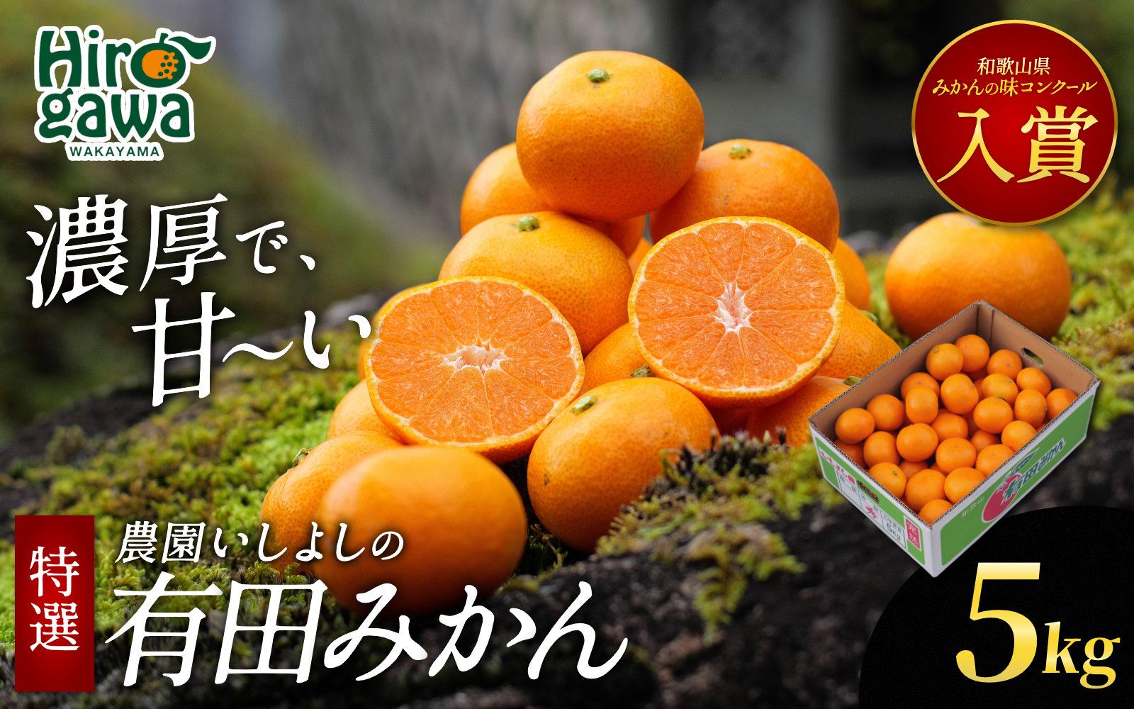 有田 みかん 特選 5kg 【 創業120年 農家直送 】 / 温州みかん 有田みかん 甘い 高級 和歌山 柑橘 ※2026年11月中旬～2027年1月下旬に順次発送 【isy004-r-5B】