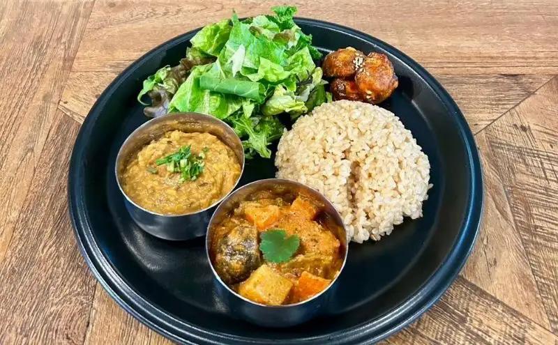 インドカレー VEGAN バラエティ インド カレー 食べ比べ セット 冷凍 レトルト 詰め合わせ 温めるだけ 惣菜 おかず 野菜カレー ヴィーガン 食 ベジタリアン ベジタリアンカレー インド料理 