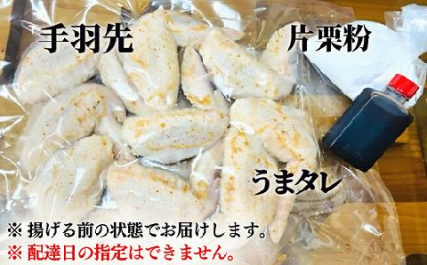 うまタレ付 手羽先 600g 【 からあげ 壱気 】