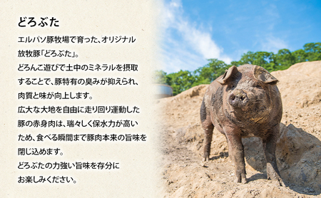 定期便 全3回 北海道十勝幕別のブランド放牧豚 食べ比べ ロース