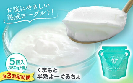 【全3回定期便】オオヤブデイリーファーム くまもと半熟よーぐるちょ 350g×5個【株式会社 オオヤブデイリーファーム】[AYAE005]
