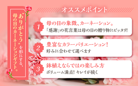 《母の日までにお届け》【レッド】カーネーション 鉢植え 5号鉢 花 フラワー ギフト 母の日 贈り物 プレゼント 母 ママ お母さん ありがとう 感謝 贈答 鉢