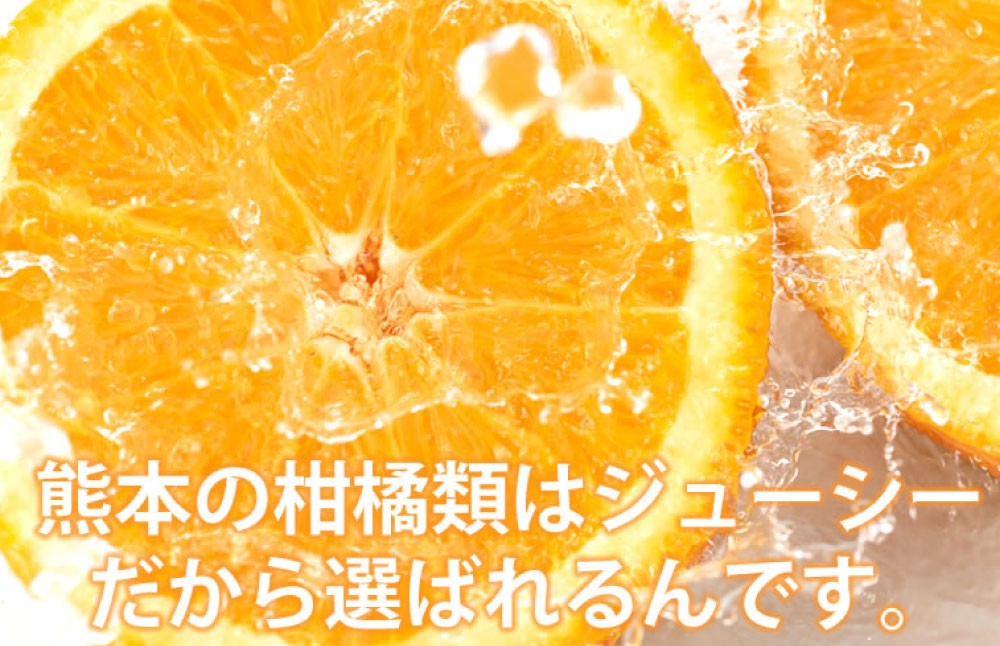 
                  訳ありみかん 約5kg みかん 蜜柑 果物 くだもの フルーツ 【2026年10月上旬～2027年3月上旬発送予定】
                