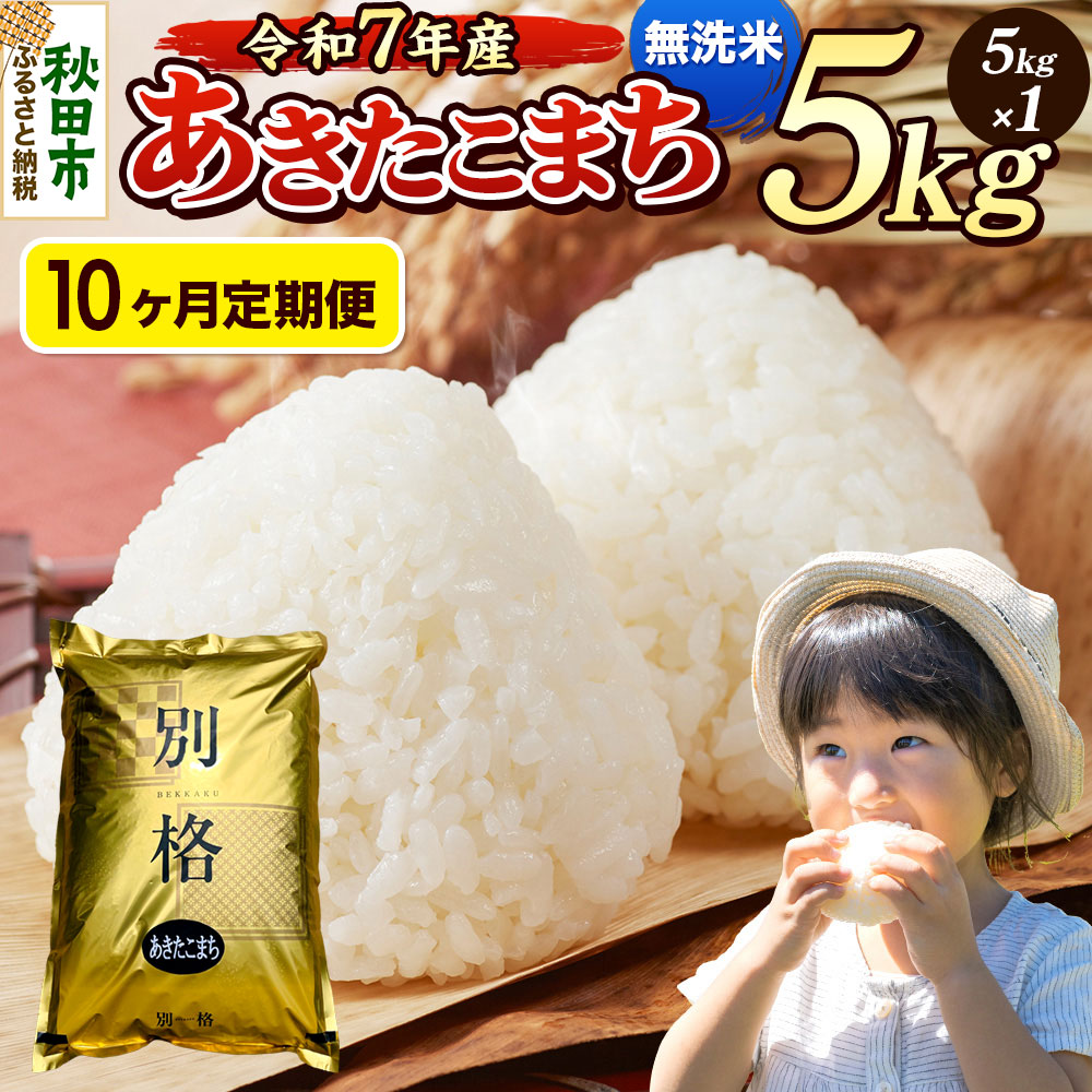 《令和7年産》《定期便10ヶ月》 米 あきたこまち 5kg 【無洗米】 秋田県産