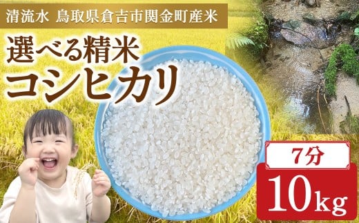 コシヒカリ 10kg（７分づき）令和7年産 新米 お米 米 こめ コメ こしひかり コシヒカリ ご飯 ごはん 鳥取県 倉吉市産