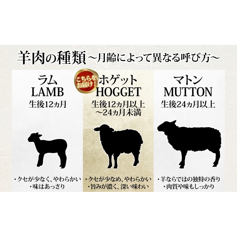 美深町 贅沢な晩酌セットF 羊のホゲット焼肉700g と 美深クラフトビール3種類 計3本 ラム肉 焼肉 瓶ビール ご褒美 北海道_イメージ3