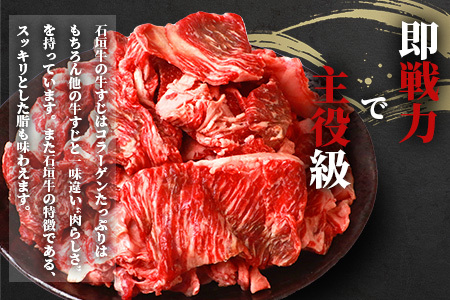 石垣牛・牛すじ ３kg （1kg×3） 冷凍便【 沖縄県 石垣市 牛肉 お肉 牛スジ 牛筋 煮込み おでん カレー 】 SI-86