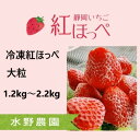 【ふるさと納税】イチゴ 苺 いちご 掛川産 紅ほっぺ 冷凍イチゴ （ 600g×2袋　計1.2kg／ 1.1kg×2袋　計2.2kg ）ヘタなし　水野農園　 ( 静岡 ミズノ農園 シーズンオフ かき氷 ）