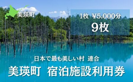 美瑛町の対象施設で使える 宿泊クーポン券 45,000円分 5,000円券×9枚