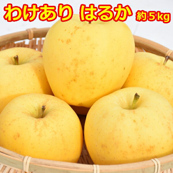 【ふるさと納税】高級りんご 訳あり はるか 約5kg 12～20玉【2025年産・先行予約 | 2025年12月上旬～2026年1月上旬頃まで発送予定】りんご 林檎 フルーツ 果物 果実 青森 青森県 青森県産 三戸 三戸町 高級 産地直送 農家直送 ふるさと納税 ふるさと 送料無料