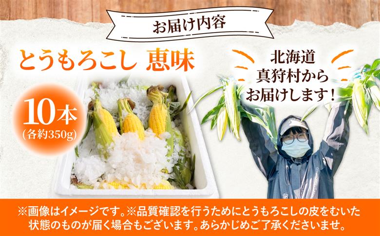 【2026年8月中旬以降順次発送】 氷詰めとうもろこし 恵味 10本 | とうもろこし 野菜 トウモロコシ コーン 北海道 季節の野菜 夏野菜 | ベジタブルワークス株式会社 [BPAD004]