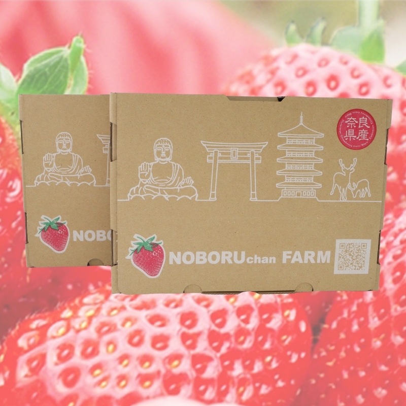 【 先行予約 / 数量限定 】 いちご 1600g 以上 ( 270g × 6P ) 新鮮 産地直送 厳選 【2026年1月以降発送】 旬 ブランド イチゴ 苺 古都華 フルーツ 果物 くだもの 国産