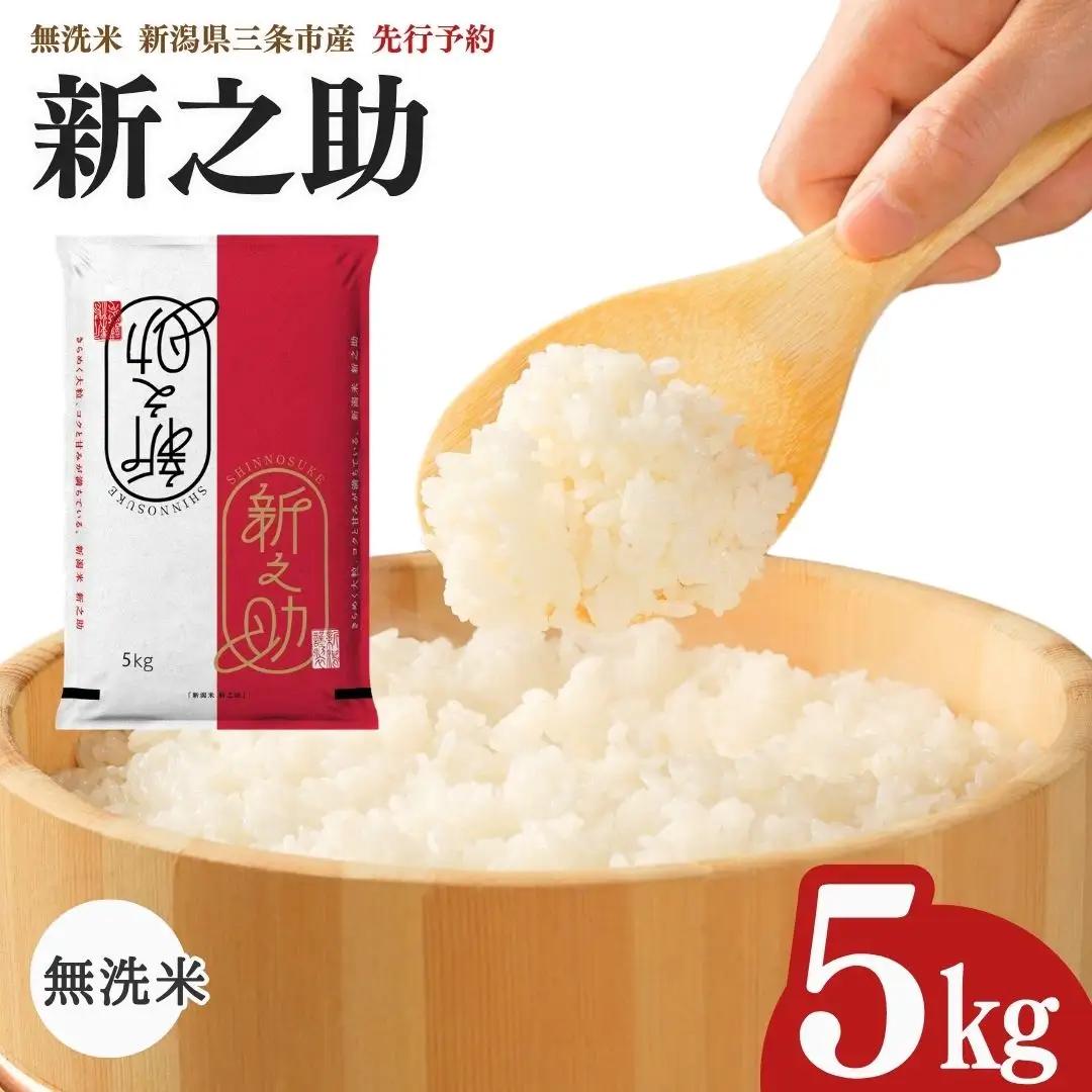 先行予約 新之助 無洗米 5kg 新潟県 三条市 新之助 令和8年 2026年
