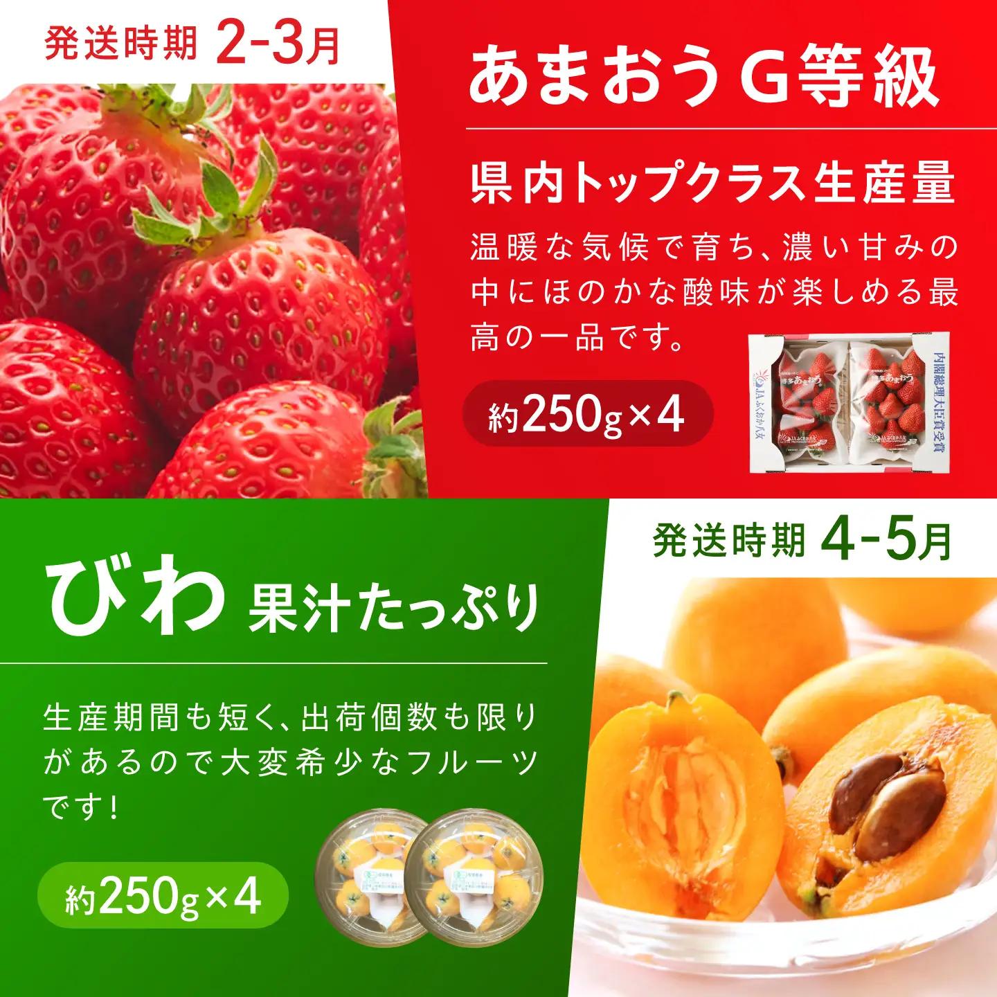 【6回定期便】フルーツ定期便 旬のフルーツ [AFAB117]