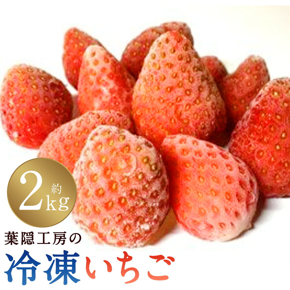 【ふるさと納税】M80x1 冷凍いちご 2kg　苺 おやつ スイーツ シャーベット 苺みるく