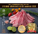 【ふるさと納税】牛肉 掛川牛 「 和牛 」 バラ肉 焼肉 カット 500g〔 肉 にく 国産 黒毛 和牛 牛肉 静岡 掛川 遠山畜産 〕