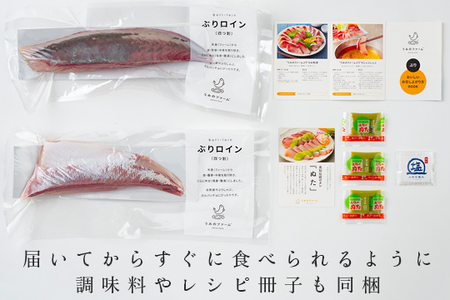 【国産】養殖ぶり 2柵セット ロイン 新鮮 ブリ 鰤 刺身 産地直送 冷蔵 寿司 ぶりしゃぶ