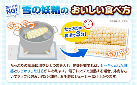 [1.3-78]　【令和6年発送先行受付】森本農園とうもろこし「雪の妖精」20本セット