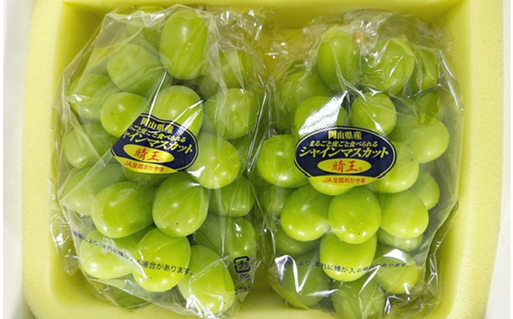 シャインマスカット晴王2房化粧箱入り（合計約1.1kg）