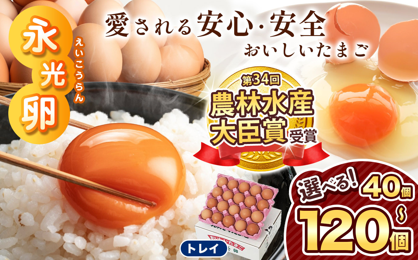 
            ＼ 2週間以内 に発送 ／ メディア紹介多数！　永光卵 40個 ～ 120個 卵 たまご 選べる 個数 回数 定期便 トレイ タイプ | スピード発送 送料無料 えいこうらん 光永ファーム みつなが おいしい卵 ゆうパック 君津市 きみつ 千葉県 すぐ届く
          