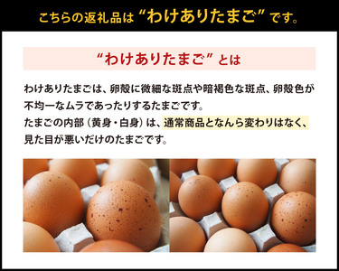 わけありたまご 康卵 90個 破損保証10個含む 赤 Mサイズ 卵 たまご 鶏卵 鶏 訳あり 国産 九州産 送料無料