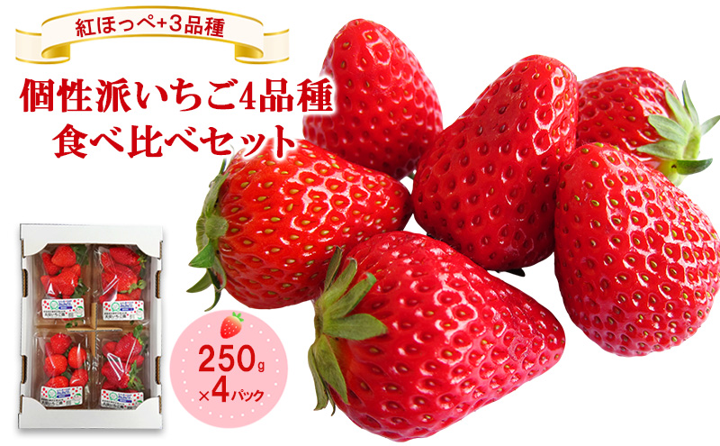 「紅ほっぺ」+3品種　個性派いちご4品種食べ比べセット　250g×4パック　『とくしま安２（安全・安心）農産物』優秀認定取得