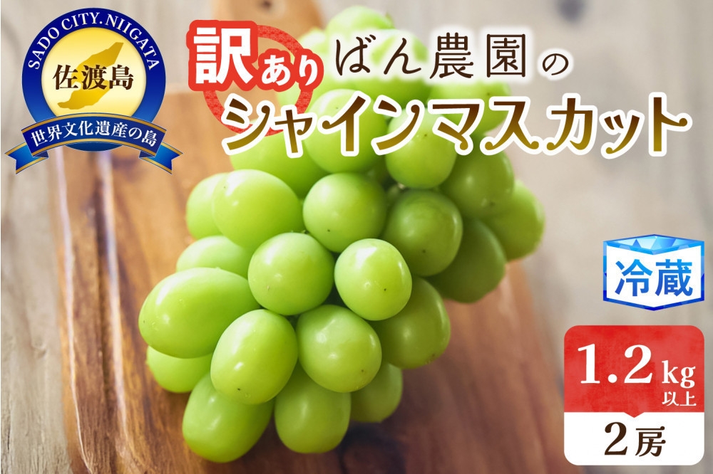 
                  【2026年9月発送】【訳あり】佐渡島産 シャインマスカット 2房 1.2kg以上 粒の不揃い・色ばらつき・小傷あり | 新潟県産シャインマスカット 佐渡産シャインマスカット しゃいんますかっと マスカット ぶどう ブドウ 葡萄 皮ごと わけあり 訳アリ 家庭用 フルーツ 果物 にいがた さど 新潟県 佐渡市
                