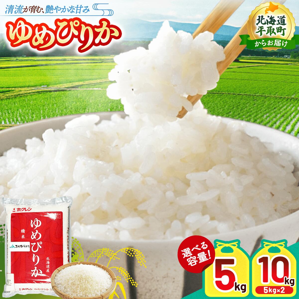 【ふるさと納税】【令和7年産新米】【北海道最上級ブランド米】「ゆめぴりか」5kg 【 ふるさと納税 人気 おすすめ ランキング ゆめぴりか 新米 お米 米 ご飯 白米 おいしい 北海道 平取町 送料無料 】 BRTH008