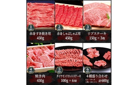 松阪牛定期便 贅沢コース 全12回 牛肉 牛肉【80-1】