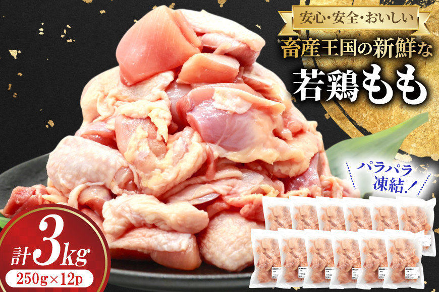 
                  鶏肉 もも 宮崎県産 若鶏 もも カット パラパラ凍結 250g 12p 計3kg [南九フーズ 宮崎県 日向市 452061384] 小分け とり肉 鳥肉 鶏もも 鶏もも肉 鶏 冷凍 真空包装 モモ 鶏モモ 鶏モモ肉 宮崎 セット パラパラ
                