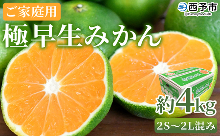 【先行予約】＜極早生みかん ご家庭用 約4kg＞ ご家庭用 果物 フルーツ みかん ミカン 蜜柑 オレンジ 柑橘 食べて応援 特産品 宇都宮物産 愛媛県 西予市 【常温】『2026年9月下旬～10月中