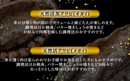  【先行予約】【期間限定】天然！活アワビ 特大 オガイ・メガイ 各2個 計4個 セット 鮮度抜群 刺身 お造り バター焼き あわび 鮑【2024年11月下旬以降順次発送予定】[m21-k002]