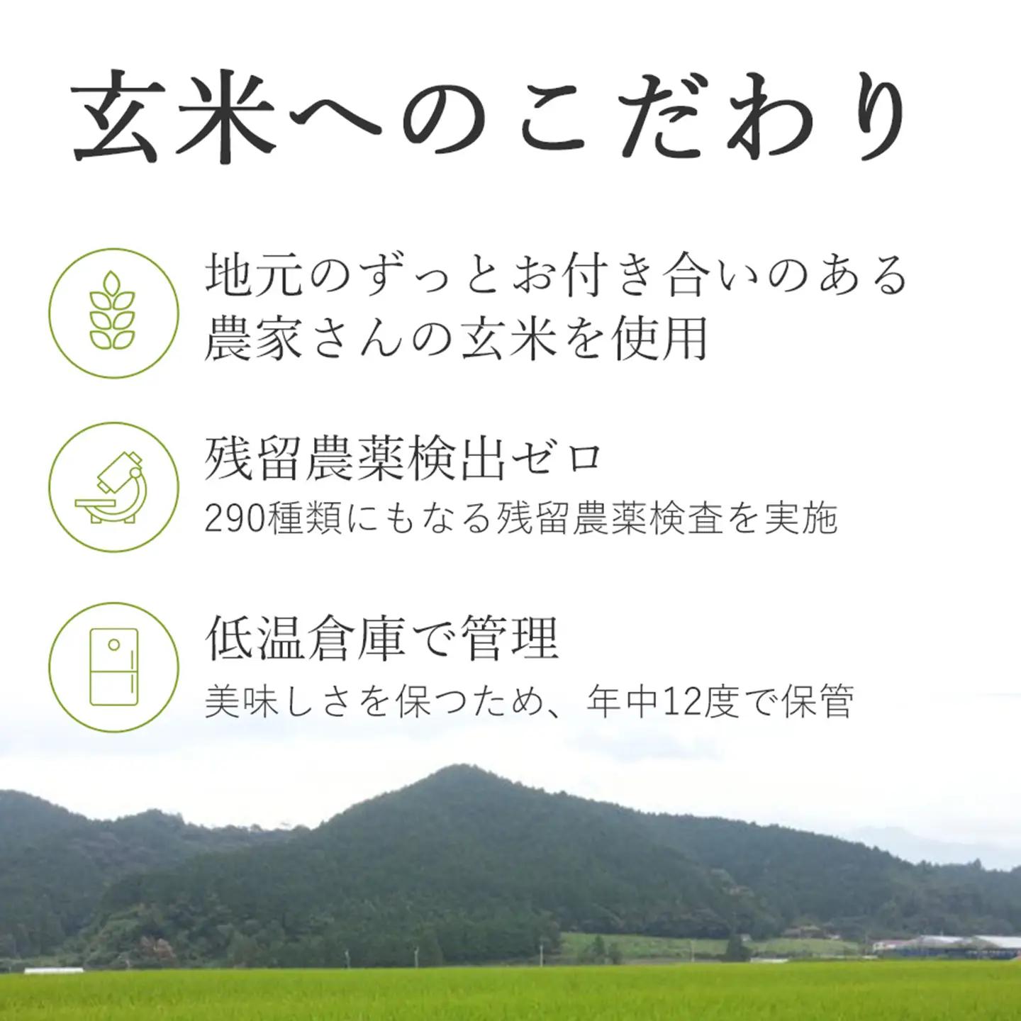 かんこめの玄米おむすび15個×2［合計30個］｜ おにぎり 冷凍 個包装