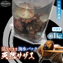 【ふるさと納税】日本海若狭湾 【活きたまま天然サザエ約1kg】 海水パックにてお届け！