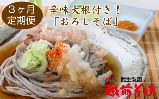 【定期便３回】辛味大根付き！おろしそば８食セット（創業90余年の武生製麺）