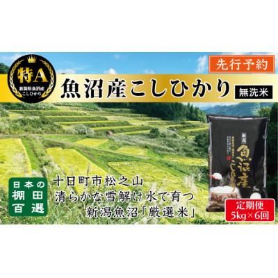 ふるさと納税 十日町市 【発送月固定定期便】先行予約10月〜発送【無洗米　食味鑑定士厳選】棚田百選魚沼こしひかり5kg全6回
