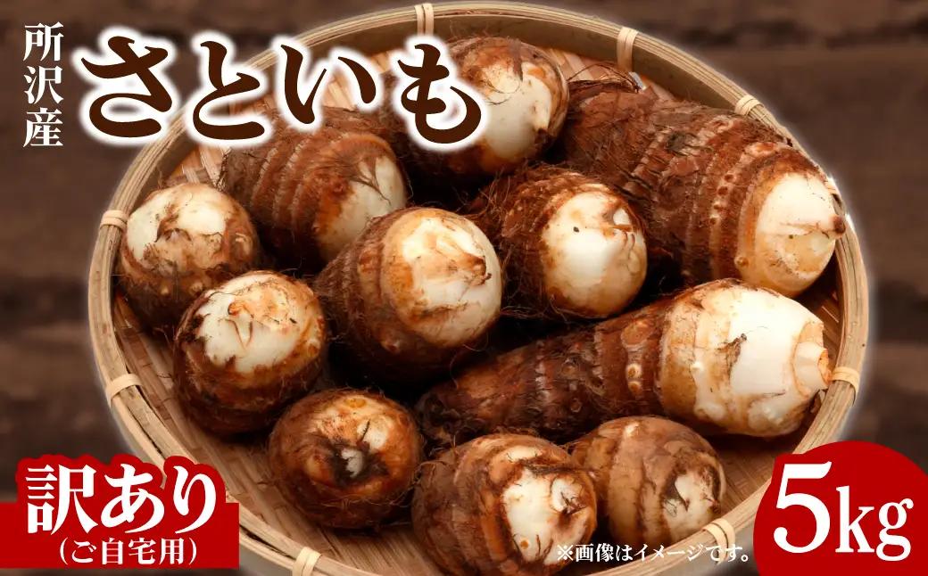 【先行予約】里芋 5キロ 訳あり 里芋