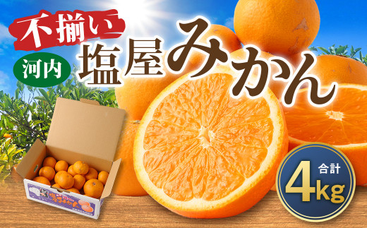 ＜2025年12月発送予定＞【不揃い】選べる 河内 塩屋みかん 4kg 青島みかん 熊本 国産 みかん 蜜柑 ミカン 果物 くだもの フルーツ 
