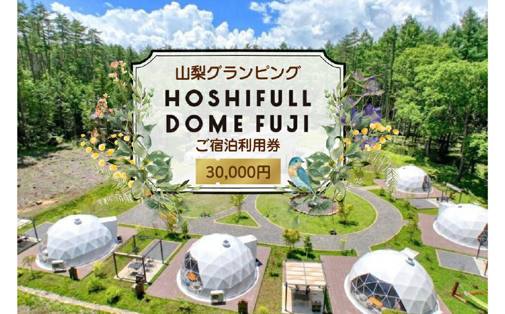 【ふるさと納税】 HOSHIFULL DOME FUJI　グランピング宿泊利用券（30,000円分） ふるさと納税 HOSHIFULL DOME FUJI グランピング 宿泊券 富士河口湖町 山梨県 FEA001