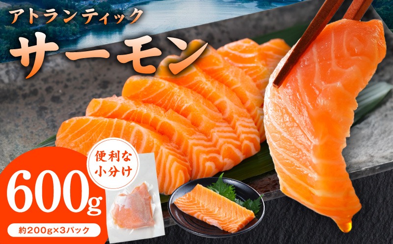 G3544 アトランティックサーモン 600g【小分け 200g×3P 柵切り 刺身 魚介 海鮮 さーもん 生食 お試し】
