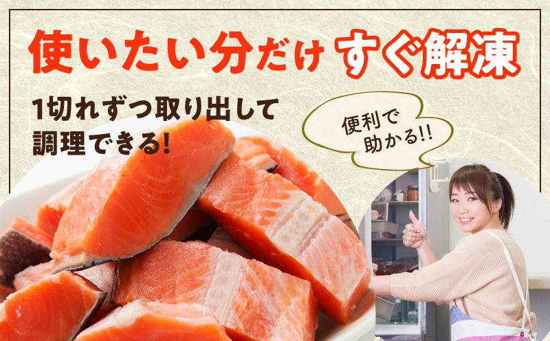【定期便】銀鮭 切身 約50g×10切れ 全2回【2026年3月＆2026年6月発送 お弁当サイズ 小分け 漁師 手切り 500g さけ サケ 切り身 弁当 朝食 時短 訳あり サイズ不揃い 規格外 