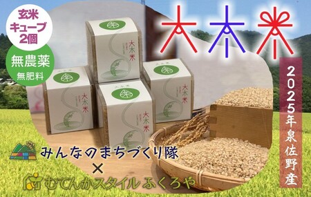 大木米（無農薬・玄米）キューブ2個 合計600g