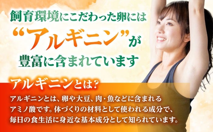 放し飼いたまご アルギニン 元気たまご 20個 自然栽培 浅田峠自然塾 波佐見町 平飼い卵 卵
