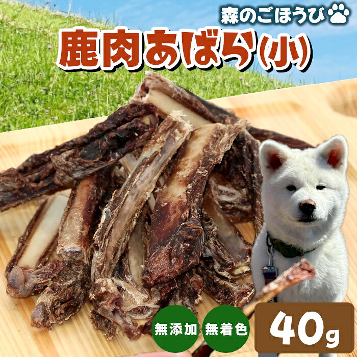 【ふるさと納税】天然素材100% 無添加 国産 鹿 あばら小 40g 犬 おやつ 安心 安全 犬 猫 ペットフード ペット おやつ しか シカ 骨 低カロリー 高タンパク質 歯磨き 栄養補給 健康 ストレス解消 お試し -239